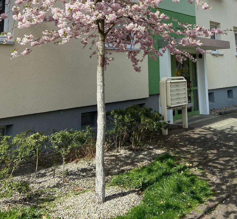 Schoene Kleine Wohnung Cottbus Eksteriør bilde